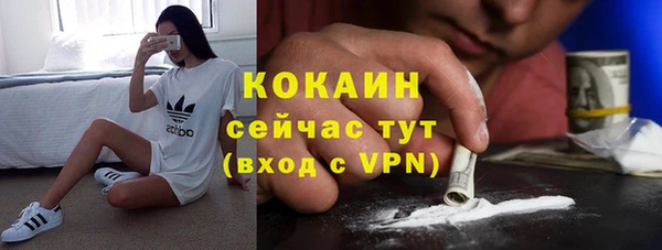 эйфоретик Заполярный