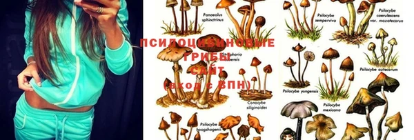 бутират Вяземский