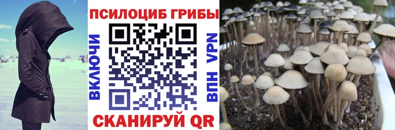 Галлюциногенные грибы Cubensis  Каневская 